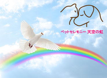 ペットセレモニー 天空の虹