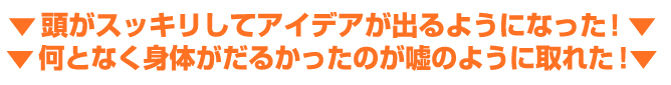 フィールドフロー・レメシス 新導入！！