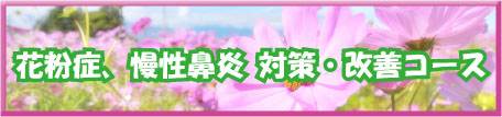 花粉症、慢性鼻炎 対策・改善コース