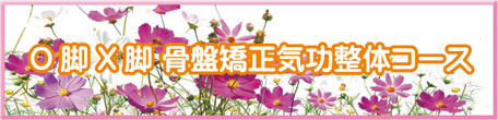 O脚 X脚 骨盤矯正気功整体コース