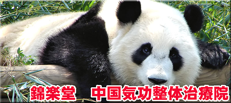 錦楽堂　中国気功整体治療院