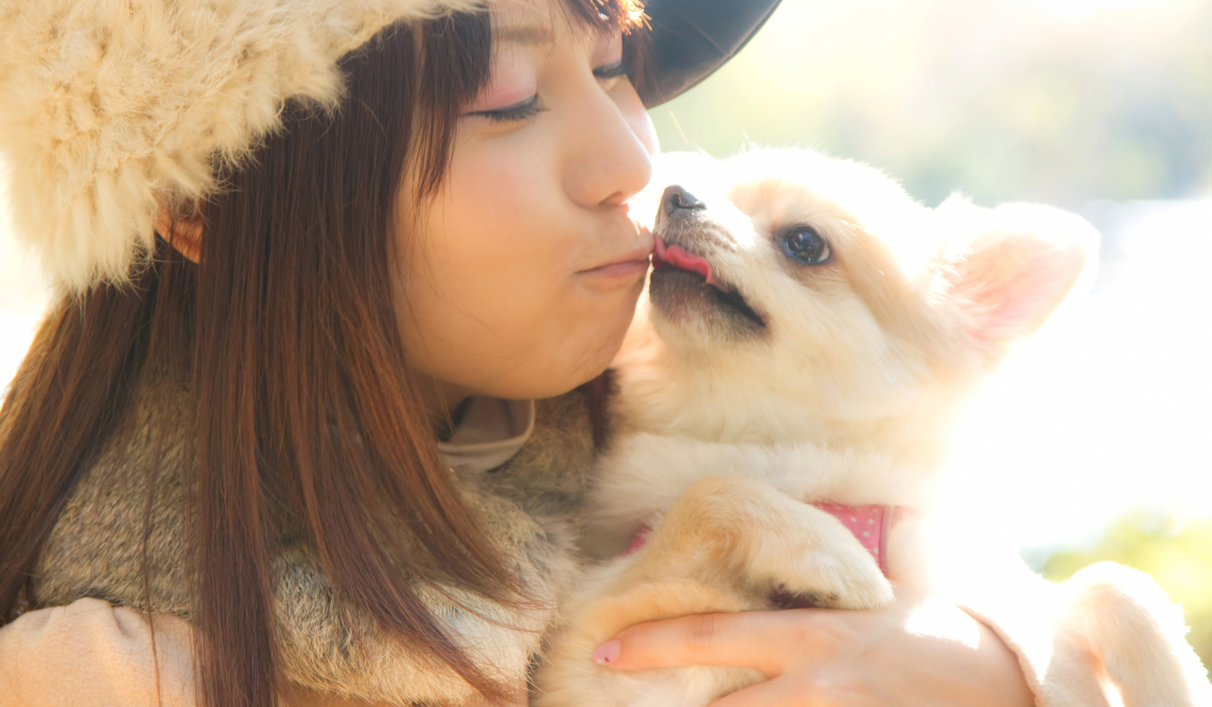 足立区梅島のワンちゃんにやさしいトリミング ドッグサロン MiMi