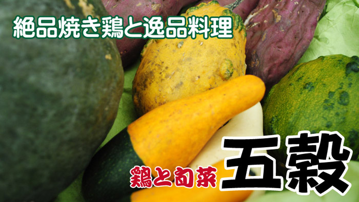 新子安の居酒屋 鶏と旬菜 五穀