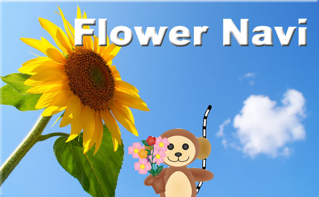 フラワーショップの花なび