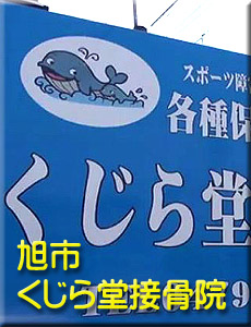 銚子市の接骨院 いるか堂接骨院