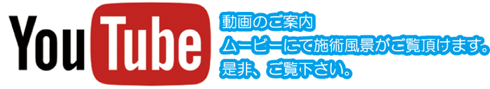 動画のご案内