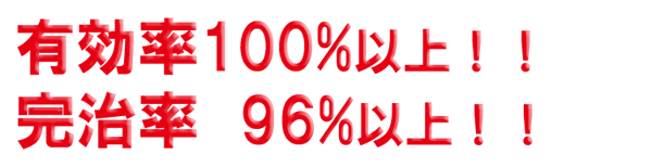 腰痛、ギックリ腰、ヘルニア、座骨神経痛、頚椎病、肩こり、膝痛、頭痛、不眠症、五十肩、冷え性、うつ病、手足のしびれ、更年期障害、足のむくみ、O脚、ダイエットなど当院の実力と経験で確実に改善していきます!!有効率98%以上!!