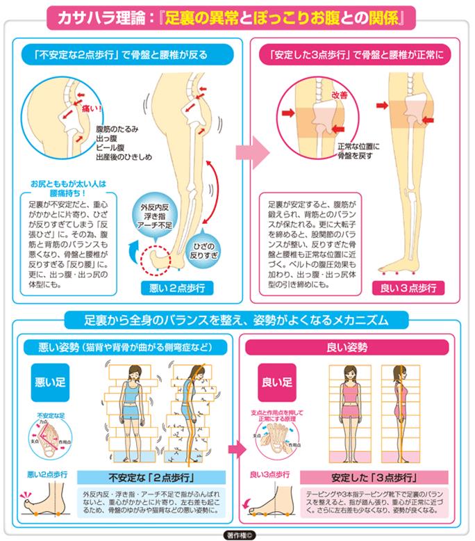 足裏の異常とぽっこりお腹との関係
