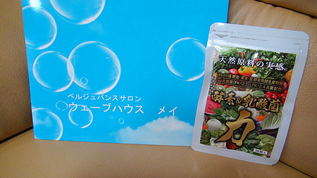 植物発酵・乳酸菌加工食品(1箱に66種 野菜・果実・茸 酵素発酵生産物質/乳酸菌(FK-23,LFK)を12兆菌配合)