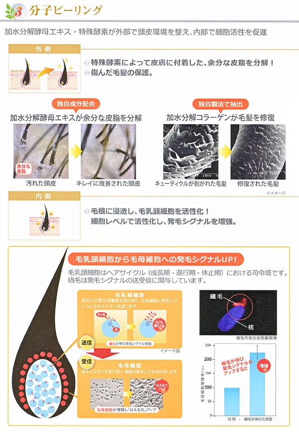 あなたの髪と頭皮は生命力をとりもどす