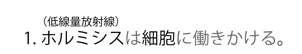 ホルミシスは細胞に働きかける