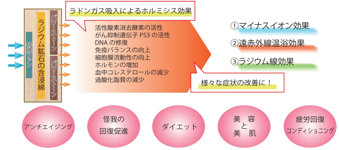 ラドンガス吸入によるホルミシス効果