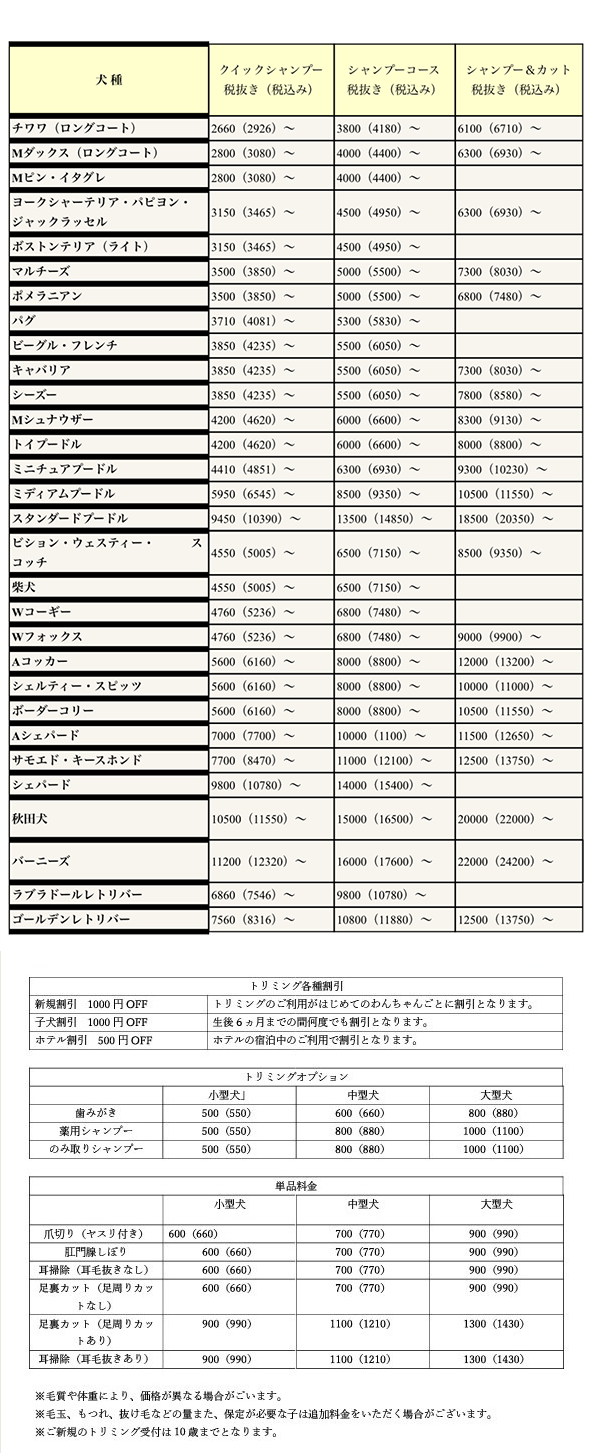 説明文