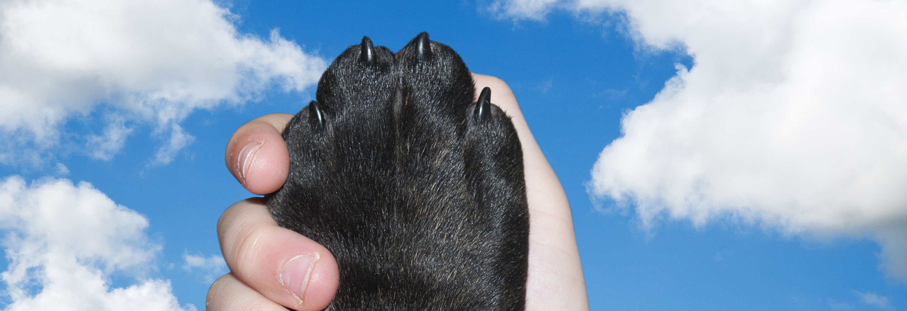 お問合せフォーム