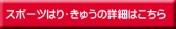 八潮の接骨院 やしお山本接骨院